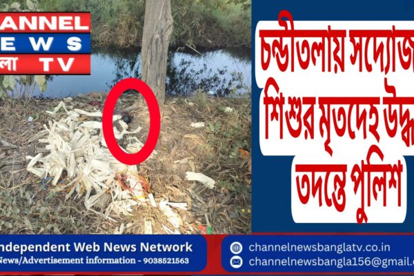 চন্ডীতলায় সদ্যোজাত শিশুর মৃতদেহ উদ্ধার তদন্তে পুলিশ