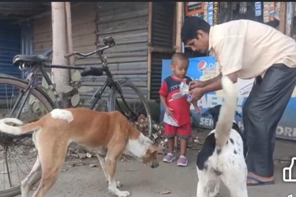 মিড-ডে মিল এবার পথকুকুরদের জন্যও একথালা ভাত সাথে এক পৃথিবী ভালোবাসা