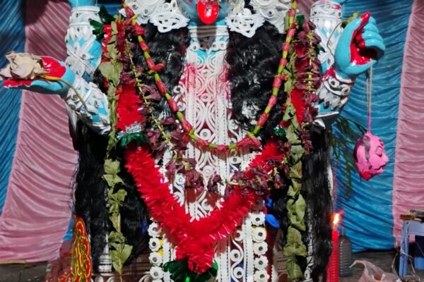 দীর্ঘ ১৯ বছর বর্ষে পদার্পণ বেগমপুরের বটব্যাল বাড়ির শ্যামা পুজো